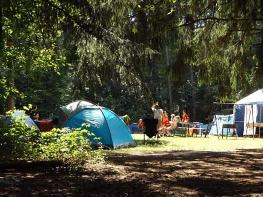 Cursos de verano en el extranjero. Camping. VivoIdiomas.